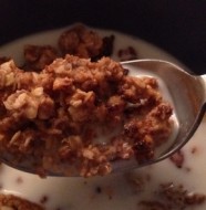 Oat and Nut Crunch Mix